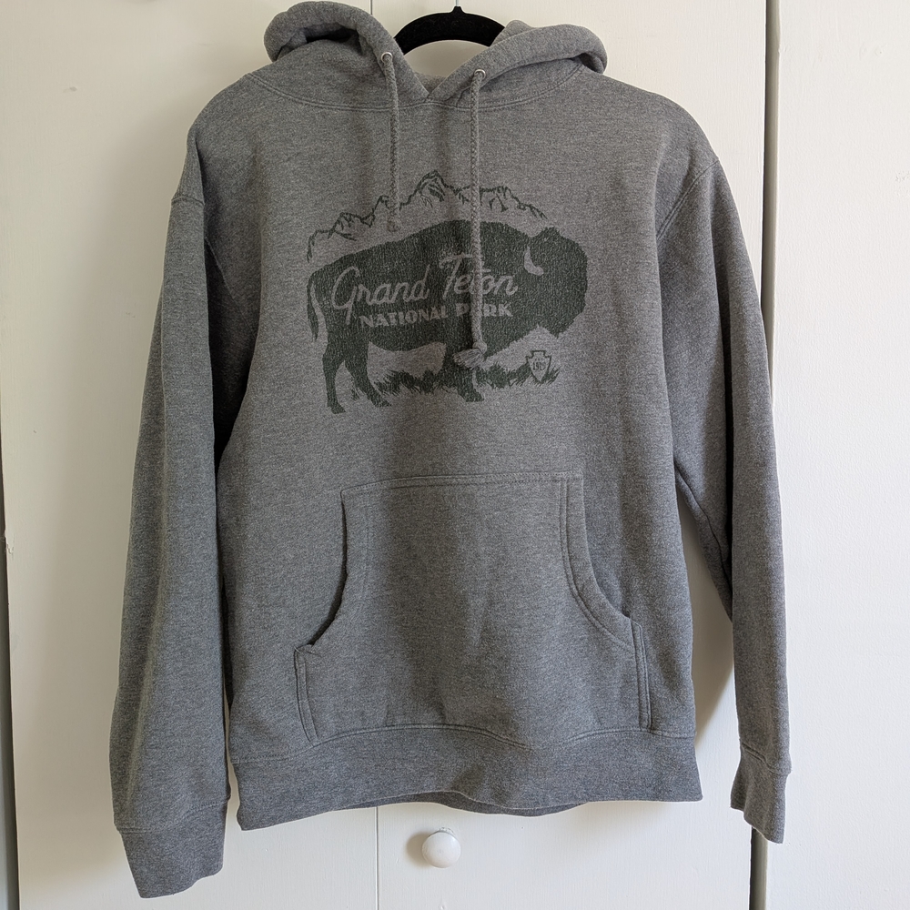 Gray Hoodie with Graphic Print